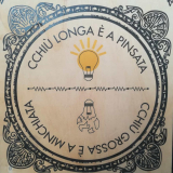 pinsata