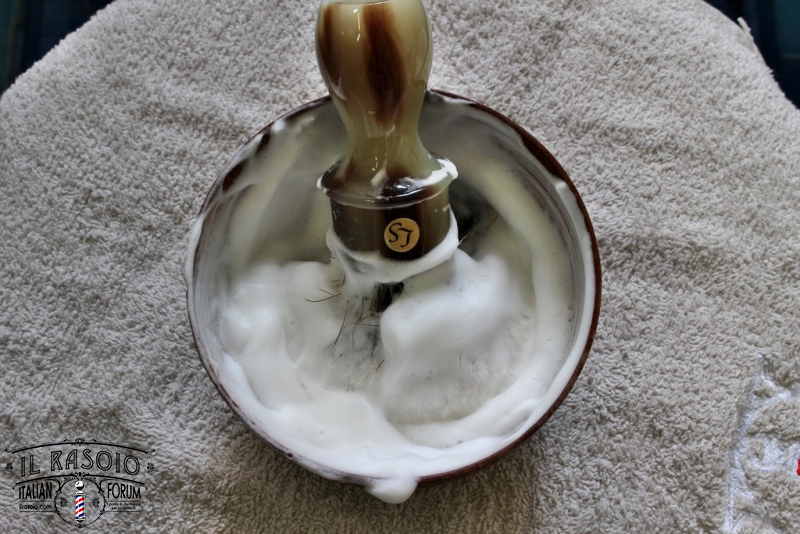 Amber-Fougere 5
