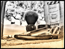 SOTD 19/08/2018