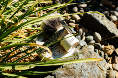 SOTD Aug 31 2018