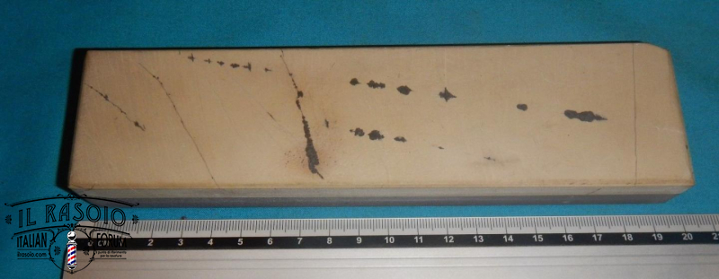 salamandrata