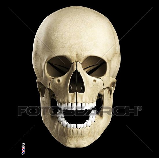 Cranio