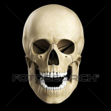 Cranio