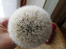 DSCN1269
