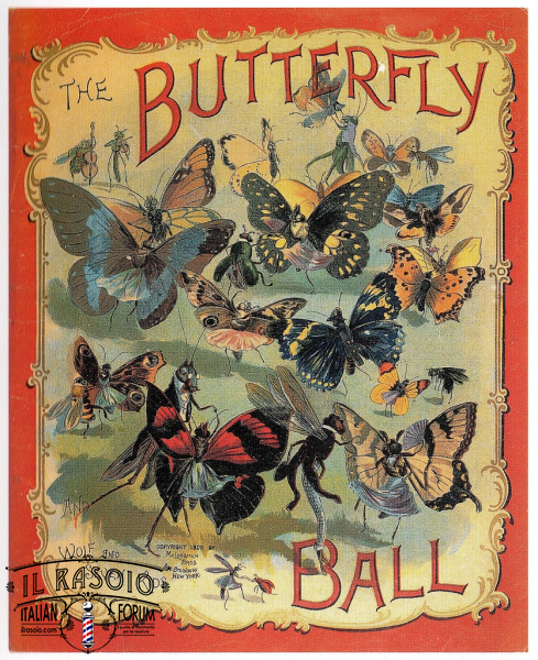 butterfly ball