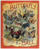 butterfly ball
