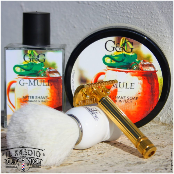 SOTD20181024 IDIB