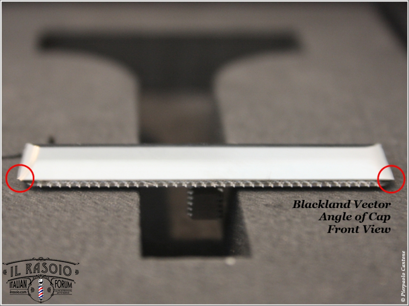 Blackland Vector vs Kai Captain ProTouch
