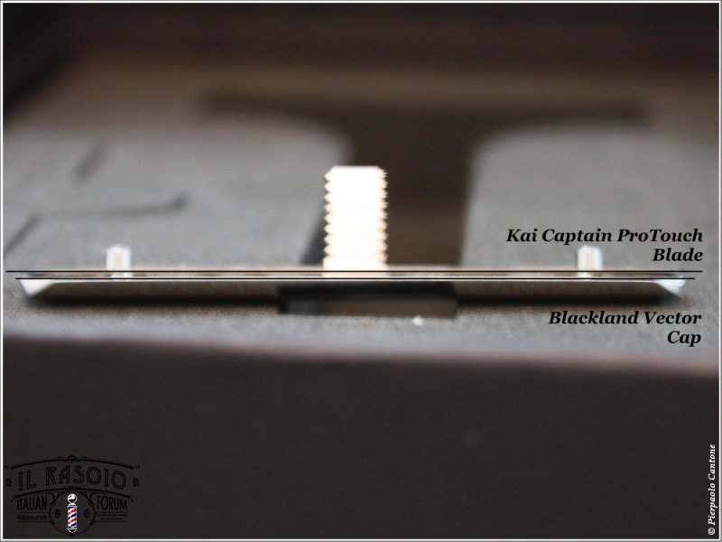 Blackland Vector vs Kai Captain ProTouch