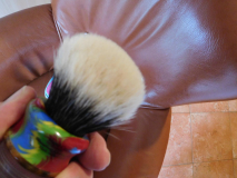 DSCN1466
