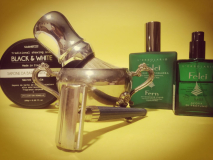 SOTD 10.01.2019