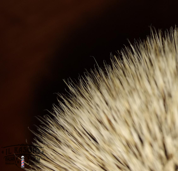 IMG 20190109 202558