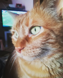 IMG 20190217 172415