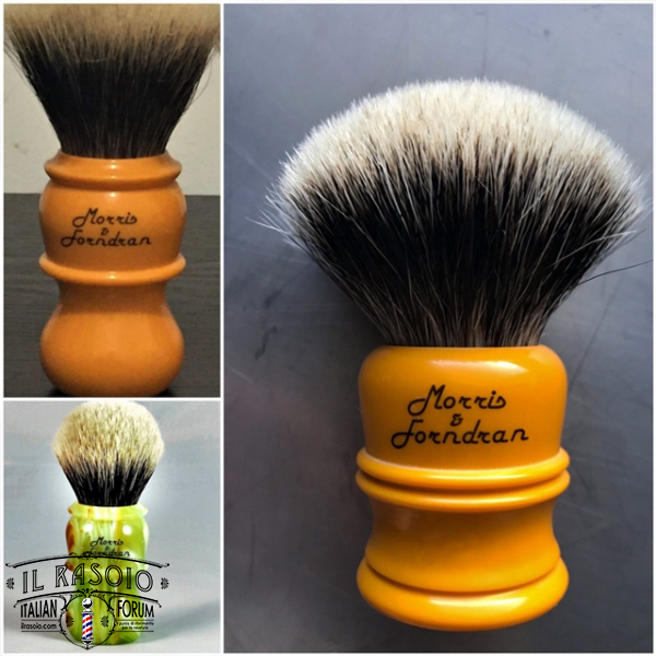 M&F 2019