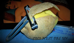 pelapatate2