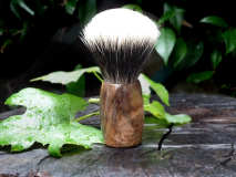 Radica di Acero 2