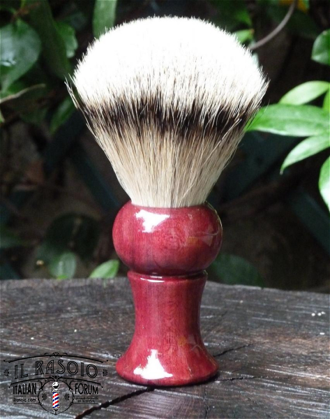 Amaranto 2