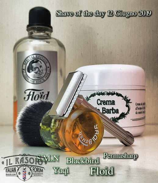 2019-06-12-22-36-57