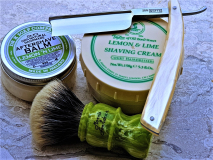 SOTD 20190615