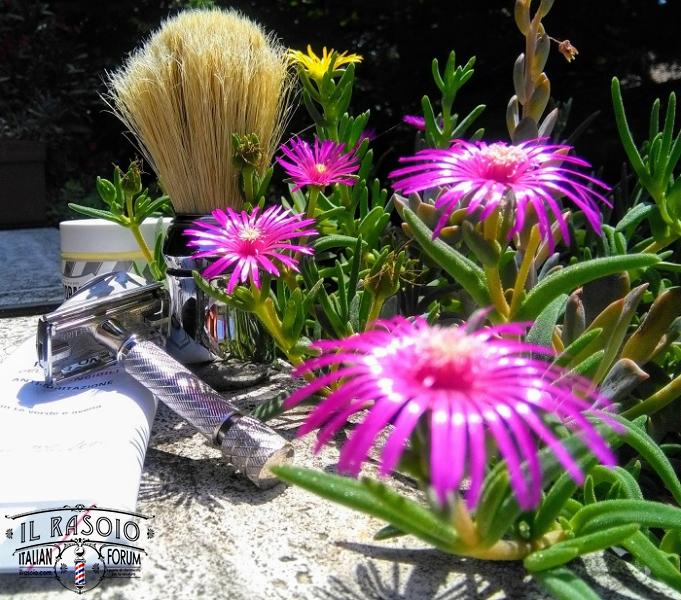 shave of the day 13-07-2019