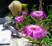 shave of the day 13-07-2019