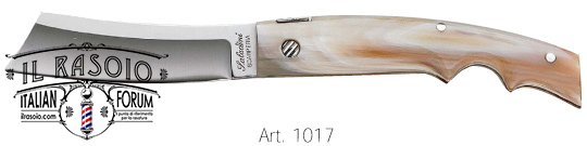 1017 Z