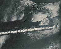 un-chien-andalou