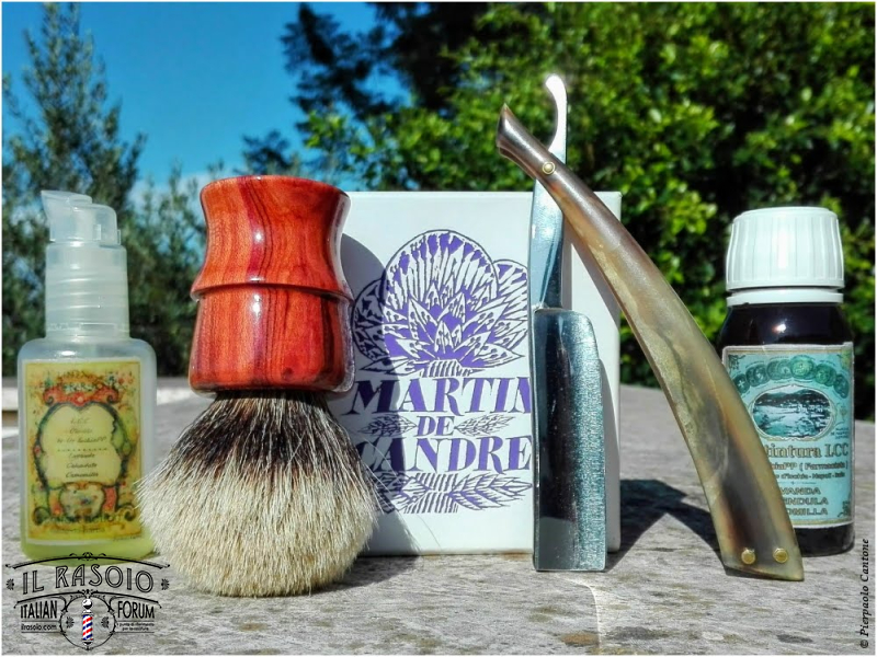 SOTD20190816 Evergreen