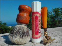 SOTD20190818 Evergreen