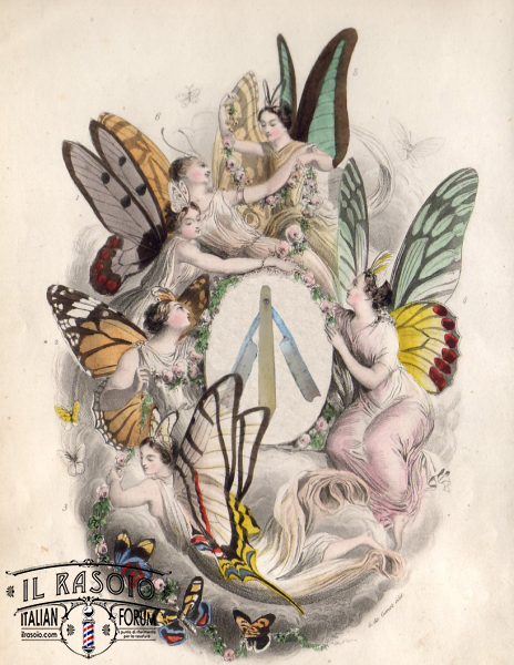 merey 1852 papillon
