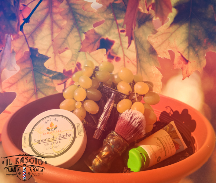 autumn1-1