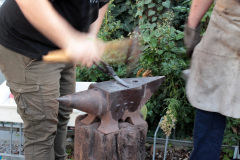 IMG 7182