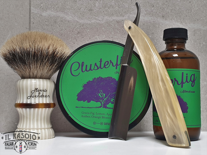 SOTD 20191111