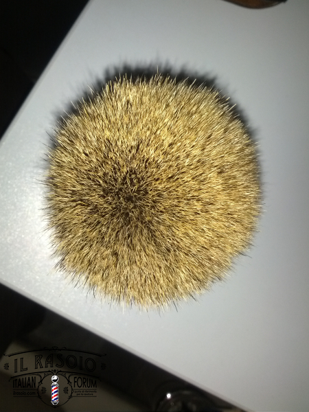 IMG 20131017 175633