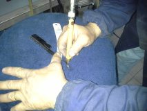 IMG-20131005-WA0020