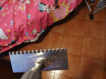 DSCN2329