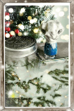 xmasfinal-1