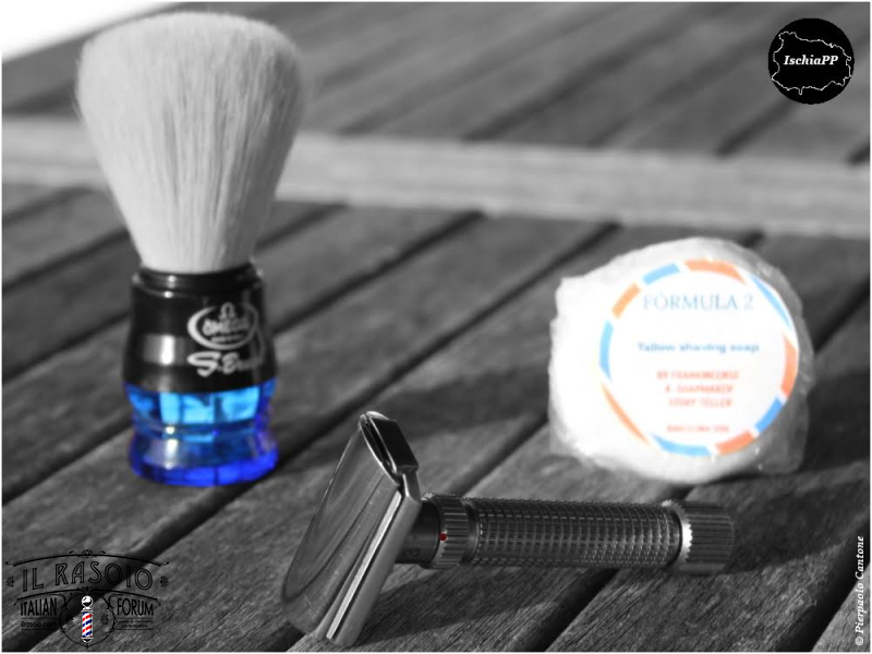 SOTD20200211 Rex