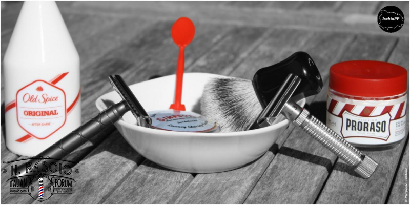 SOTD20200212 Rex