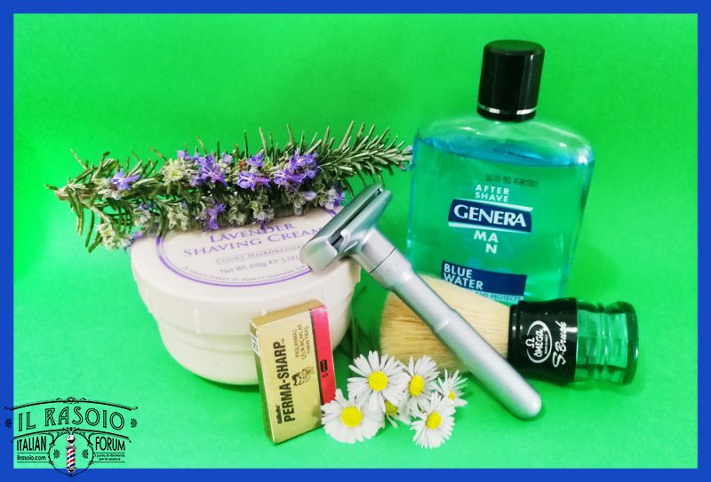 Springtime SOTD 07/03/2020