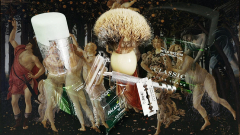 Springtime SOTD 09/03/2020
