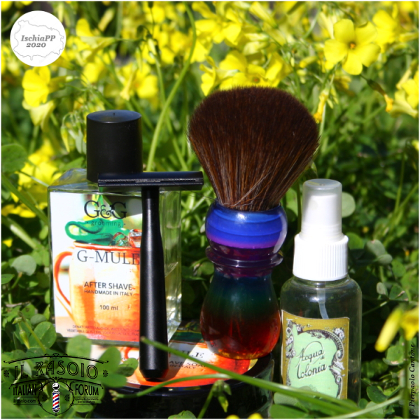 SOTD20200309 Primavera