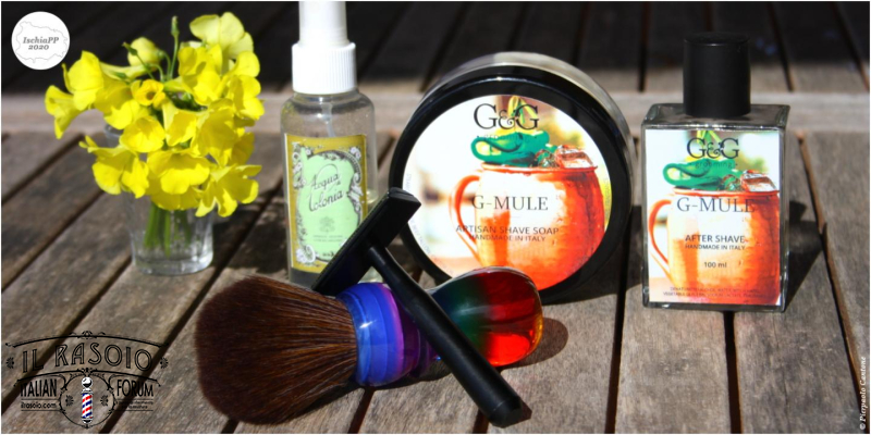 SOTD20200309 Primavera
