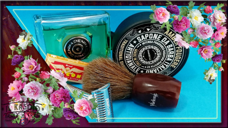 Springtime SOTD 12/03/2020