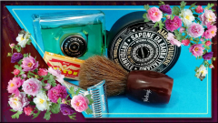 Springtime SOTD 12/03/2020