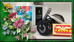 Springtime SOTD 14/03/2020