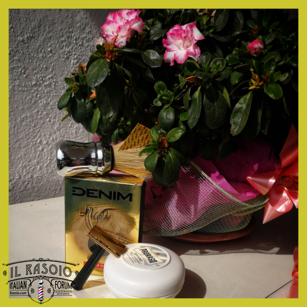 Springtime SOTD 21/03/2020