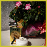 Springtime SOTD 21/03/2020