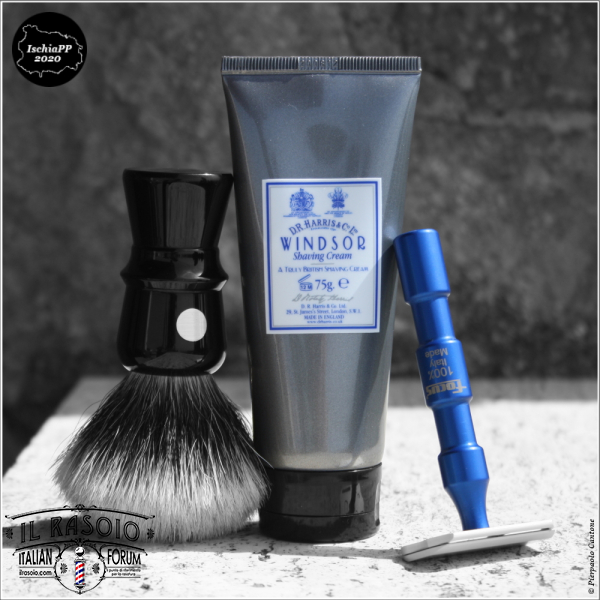 SOTD20200331 FocusS