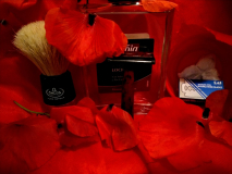 SOTD 3-4.5.2020